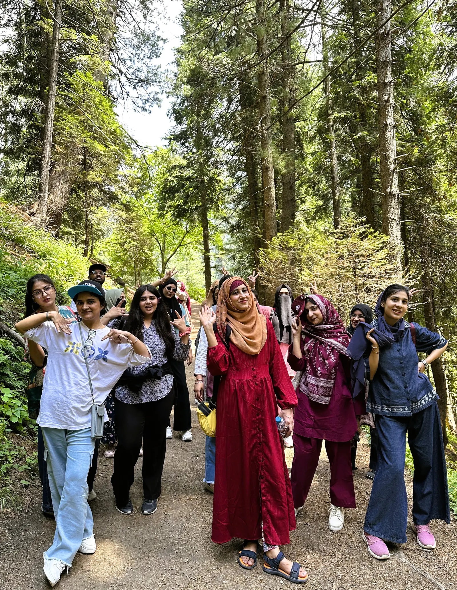 A group of colleagues among tall trees on a trip